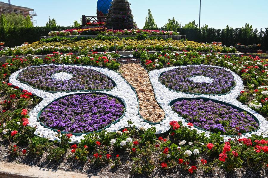 Türkiye'de daha büyüğü yok! Selçuklu Çiçek Bahçesi yeniden kapılarını açtı 21